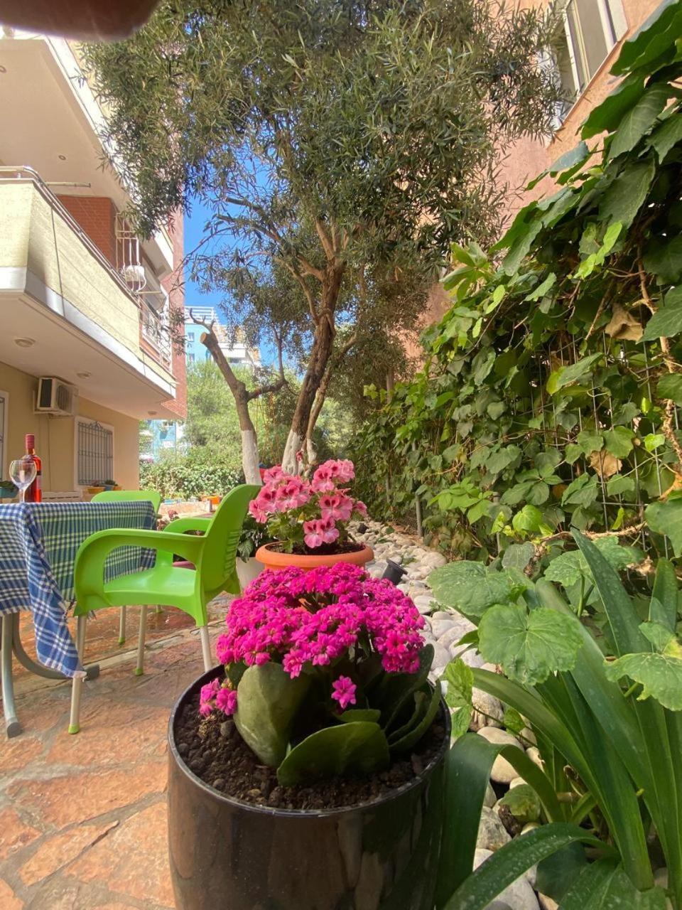 Olive Tree Apartment Sarande Exterior photo